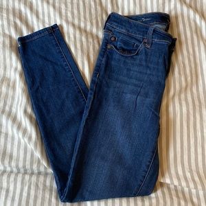 Liverpool The Ankle Skinny Jeans
